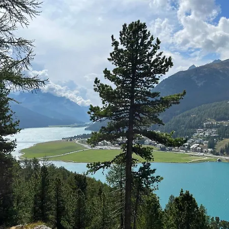 Chesa Munteratsch 1-zimmerwohnung 106 Typ B Silvaplana