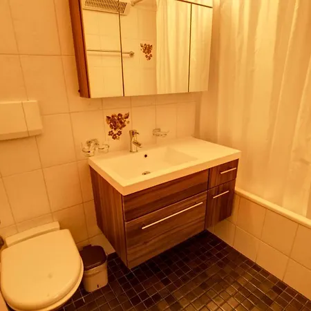 Chesa Munteratsch 1-zimmerwohnung 106 Typ B * סילבפלנה