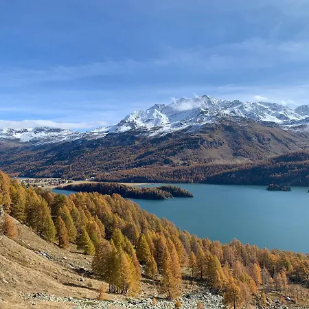 Chesa Munteratsch 1-zimmerwohnung 106 Typ B