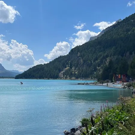 Апартаменты Chesa Munteratsch 1-zimmerwohnung 106 Typ B Сильваплана