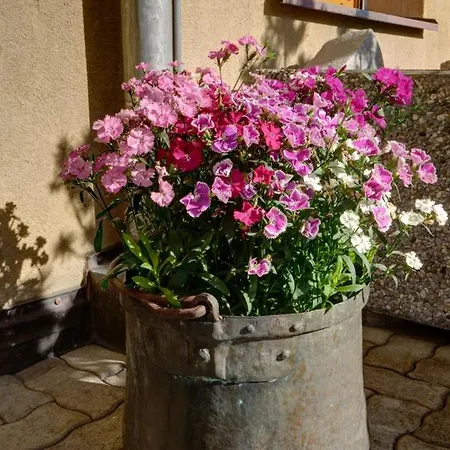 Chesa Munteratsch 1-zimmerwohnung 106 Typ B