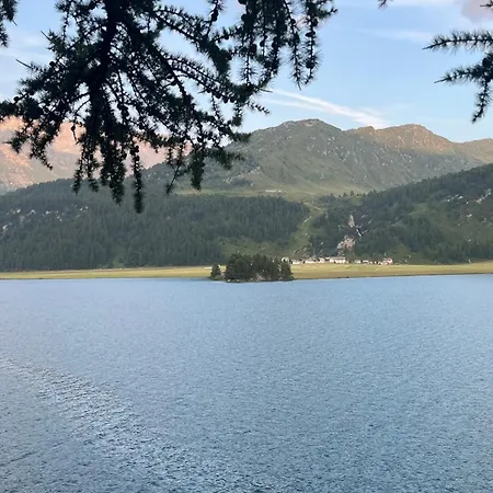 Chesa Munteratsch 1-zimmerwohnung 106 Typ B